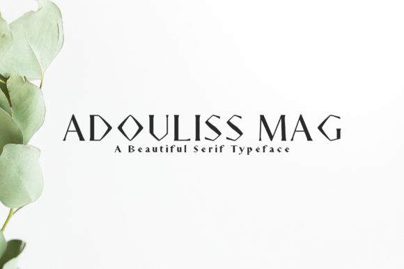 Adouliss Mag Family: A Modern Serif Font for Business Branding