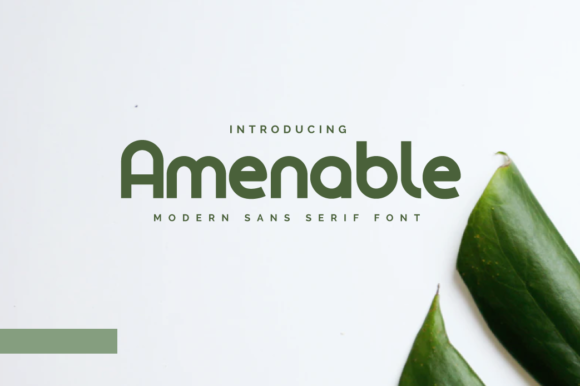 Amenable: A Versatile Sans Serif for Modern Design