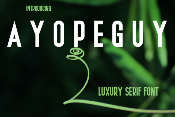 Ayopeguy: A Modern Sans Serif Font for Editorial Design