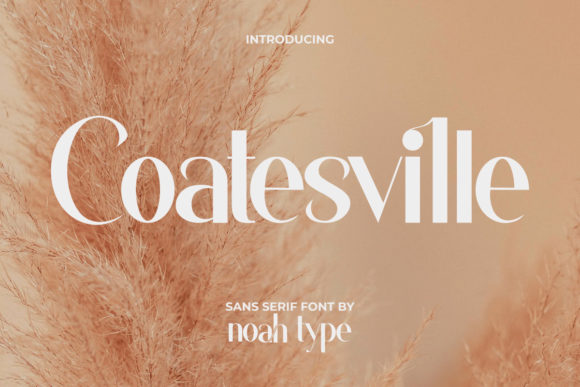 Coatesville: A Modern Sans Serif Font for Web Design