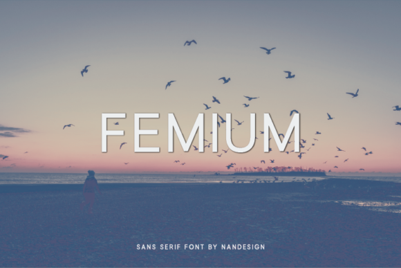 Femium: A Modern Sans Serif Font for Handmade Creations