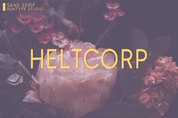 Heltcorp: A Modern Font for Polished Branding