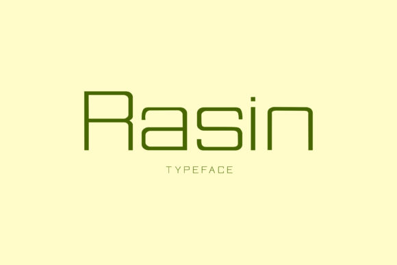 Rasin: A Modern Sans Serif for Bold Branding