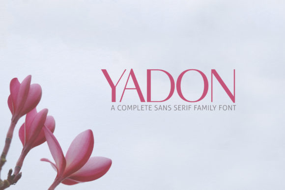 Yadon Family: A Modern Sans Serif for Clean Editorial Design